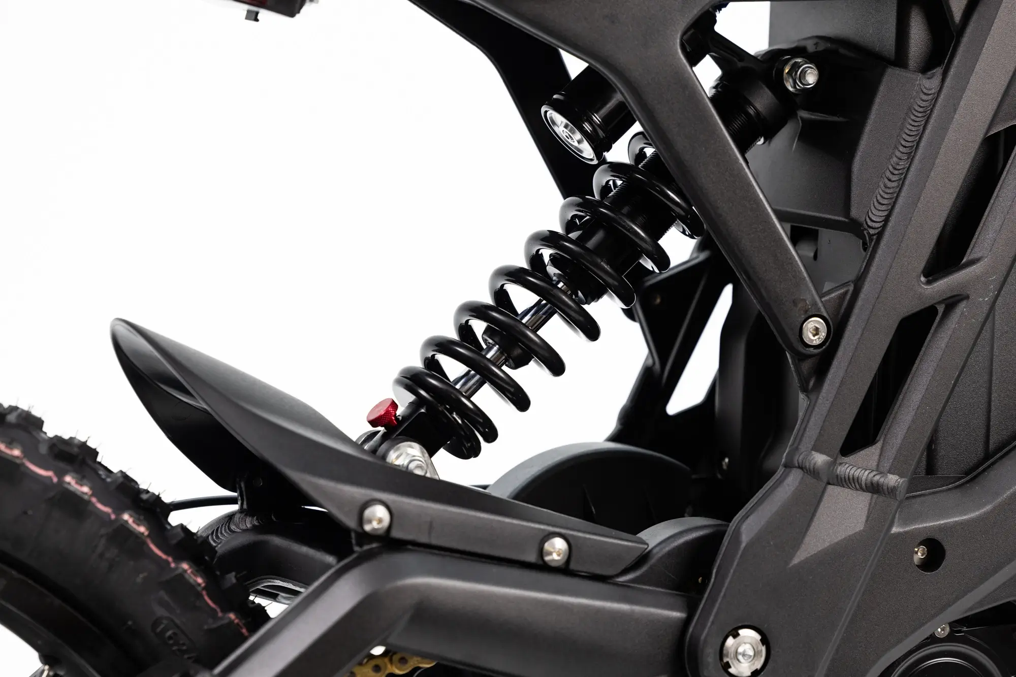 E-Ride PRO-SS 2.0 (2025 19"/18") - Image 8